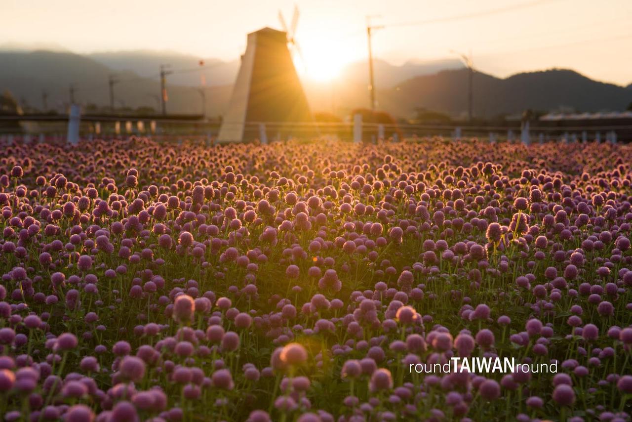 Xinshe_Sea_of_Flowers_______-008.jpg